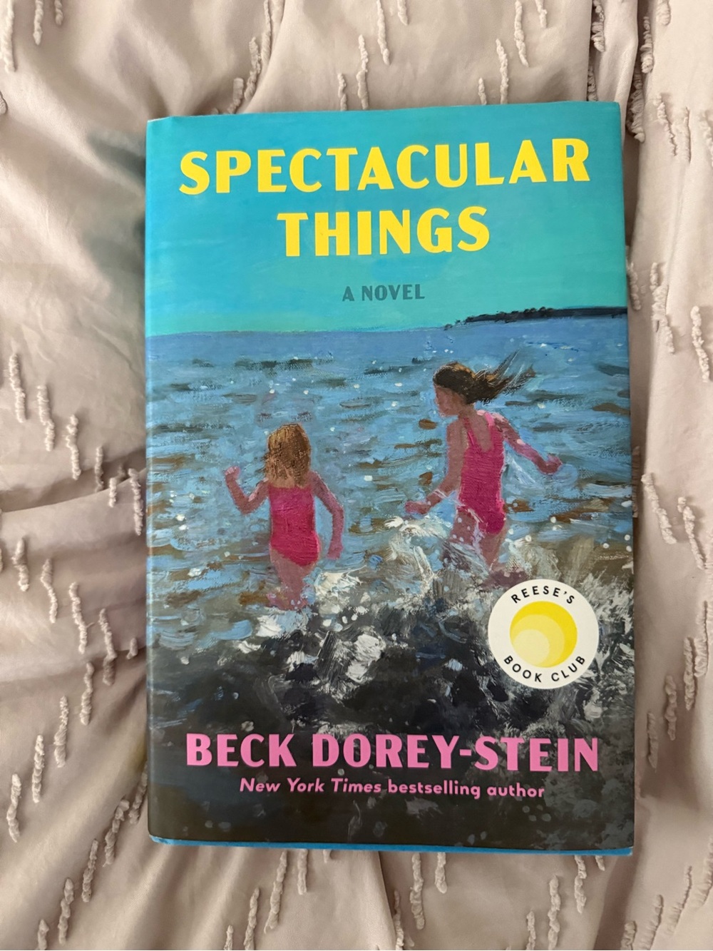 Spectacular Things by Beck Dorey-Stein - Blue & Pink hardCover